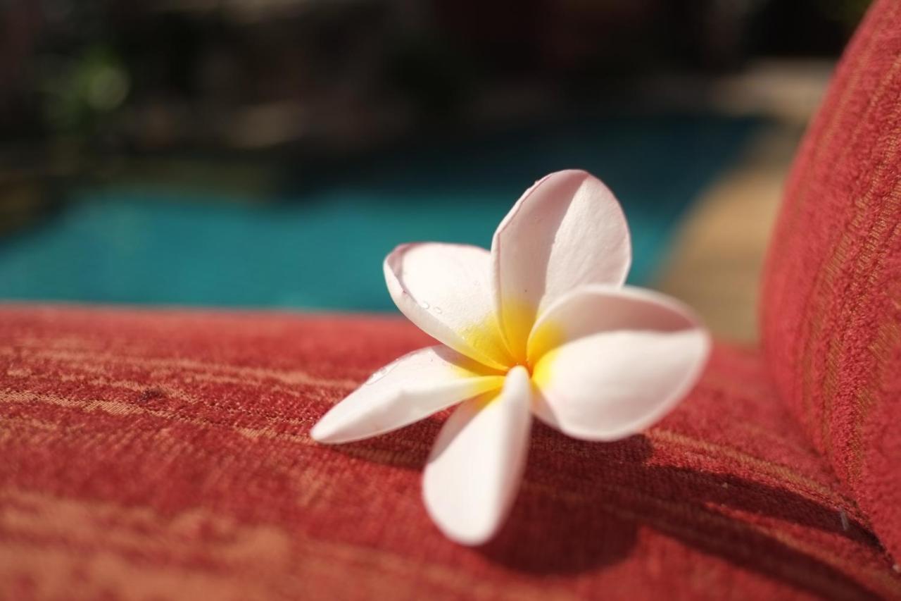 พระตำหนักวิลล่า 10 ห้องนอน พร้อมสระว่ายน้ำส่วนตัว Pattaja Kültér fotó